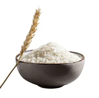 Quick and easy Instant Rava Idly Mix, perfect for making soft, fluffy idlis in minutes with authentic flavor and texture.